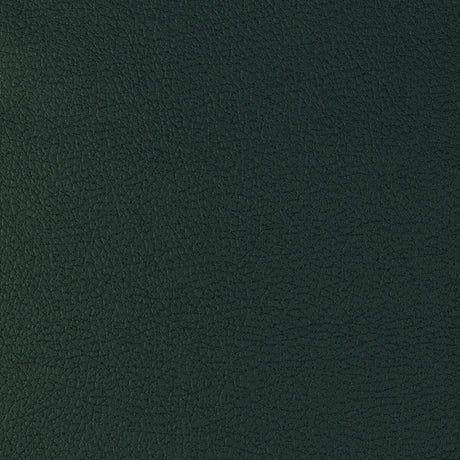 KRAVET DESIGN GENSLAR.35.0 KRAVET DESIGN GENSLAR-35 Fabric - Eade's Wallpaper