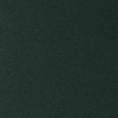 KRAVET DESIGN GENSLAR.35.0 KRAVET DESIGN GENSLAR-35 Fabric - Eade's Wallpaper