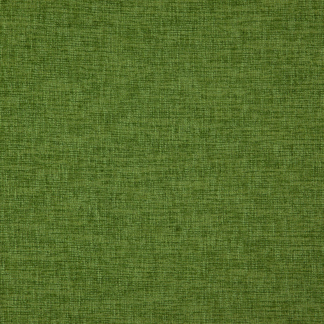 Eade’s # 16 CACTUS