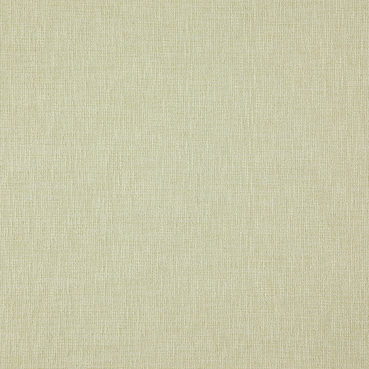 Eade’s # 25 PAPYRUS