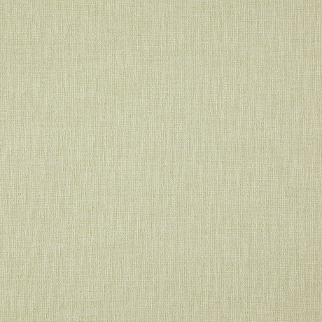 Eade’s # 25 PAPYRUS