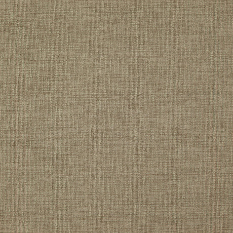 Eade’s # 30 STUCCO