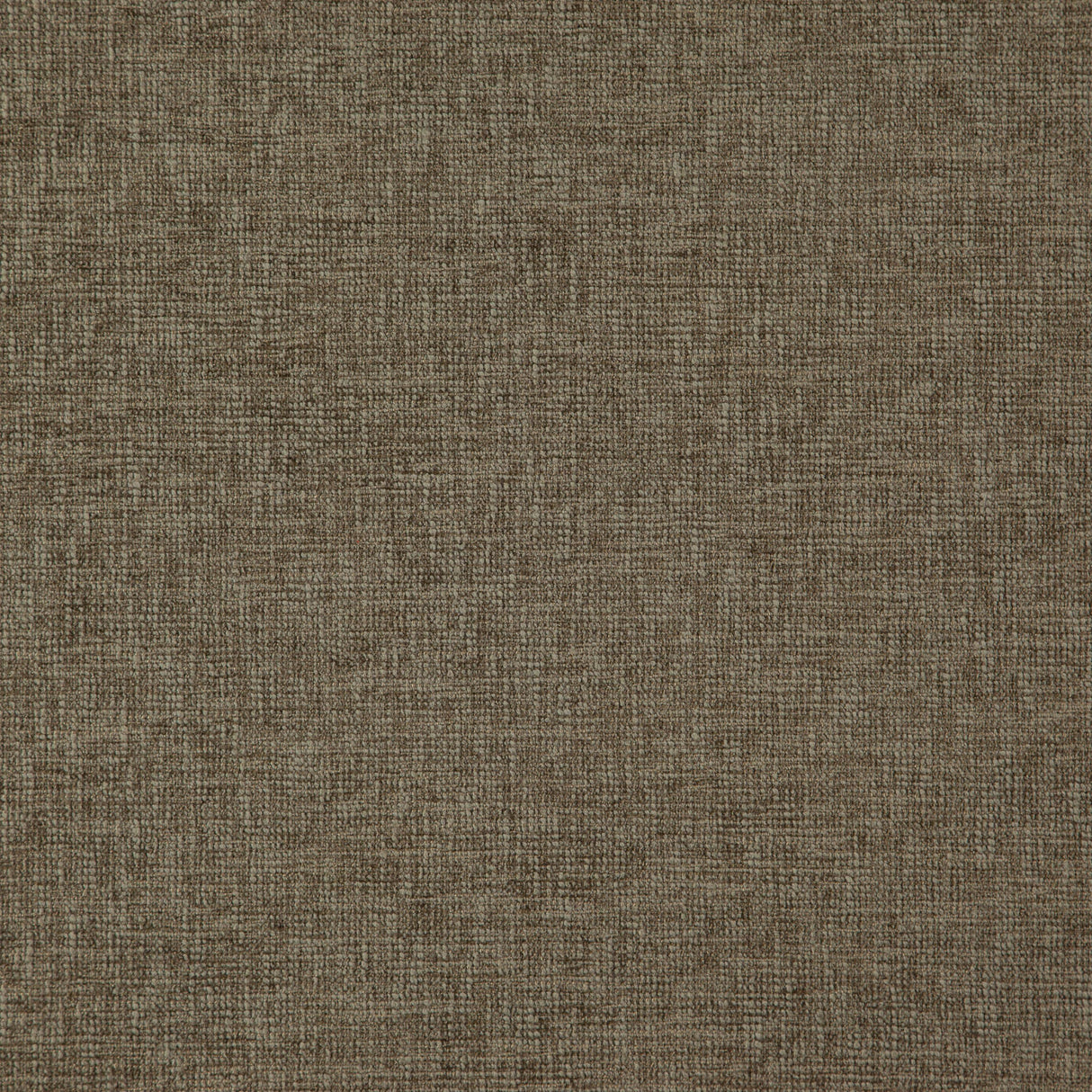 Eade’s # 35 GARGOYLE