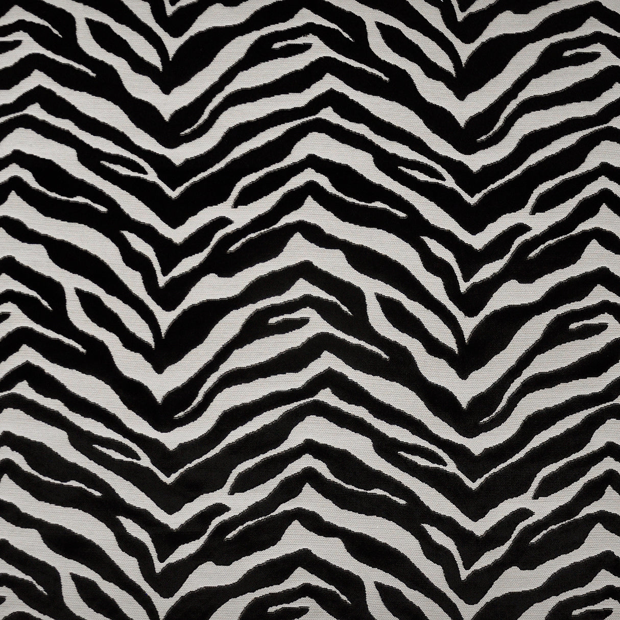 Eade’s # 332 ZEBRA