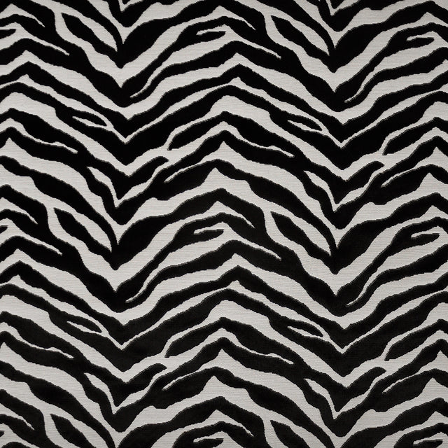 Eade’s # 332 ZEBRA