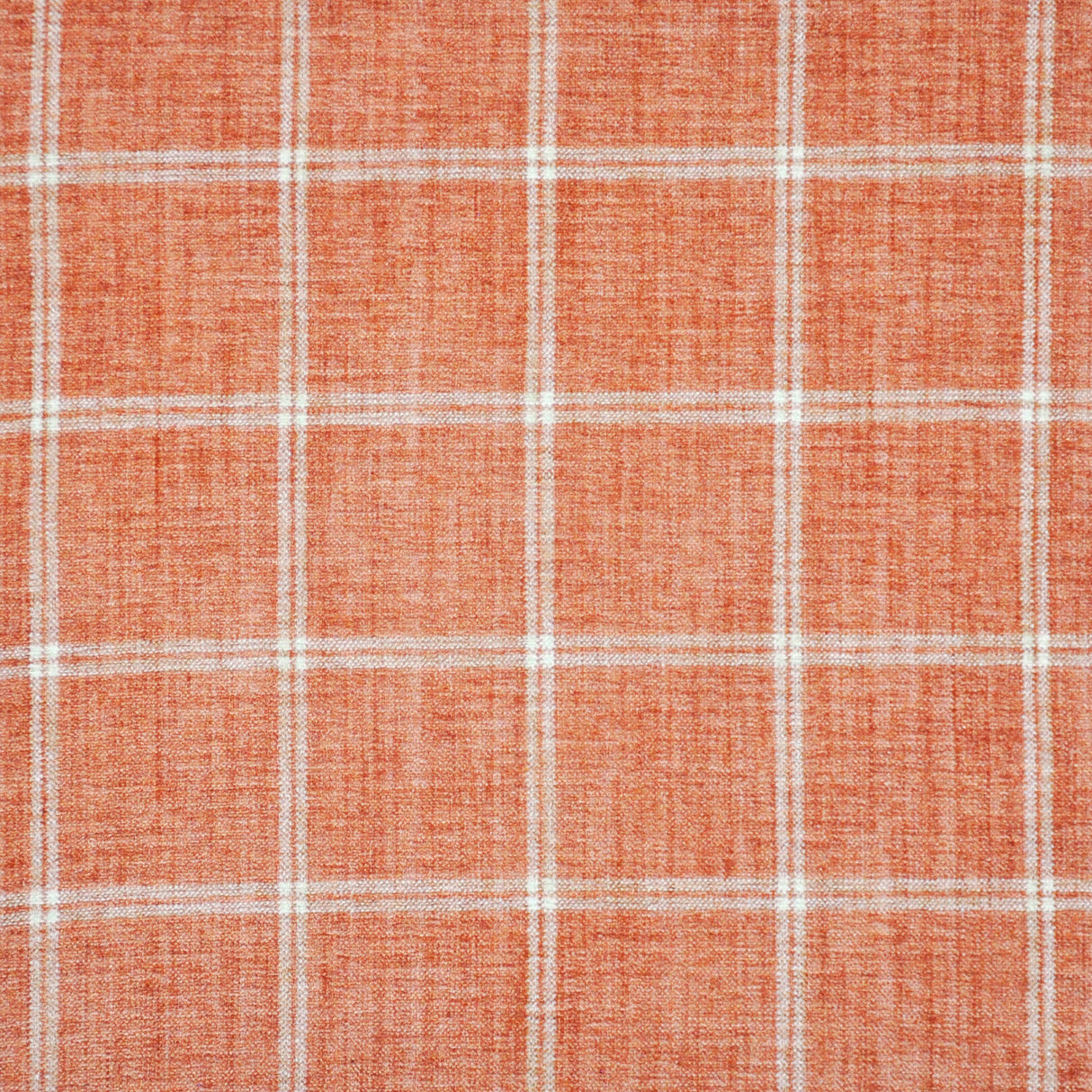 Eade’s # 426 GRAPEFRUIT