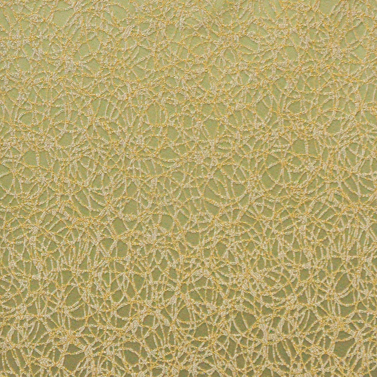 Eade’s # 618 ALGAE