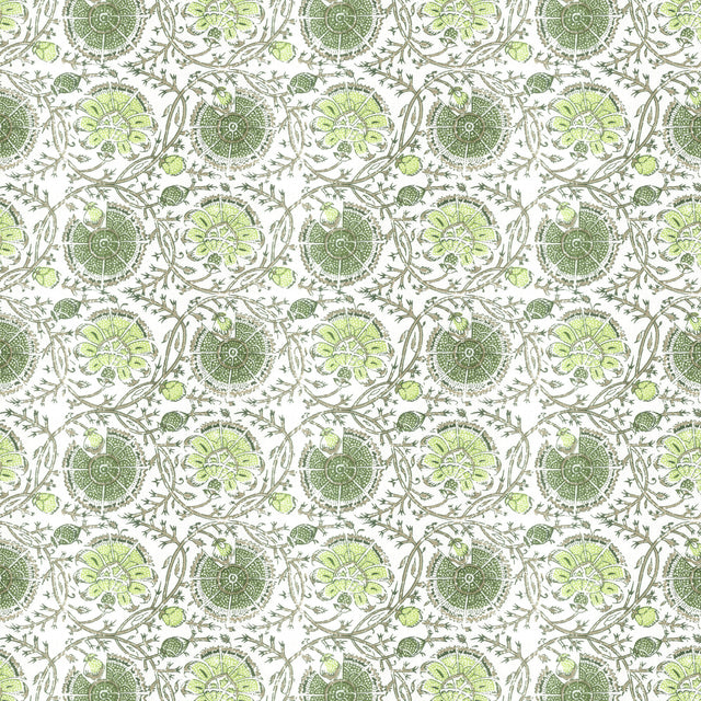 STOUT GIBE-3 GIBERTINI 3 APPLE Fabric - Eades Wallpaper & Fabric