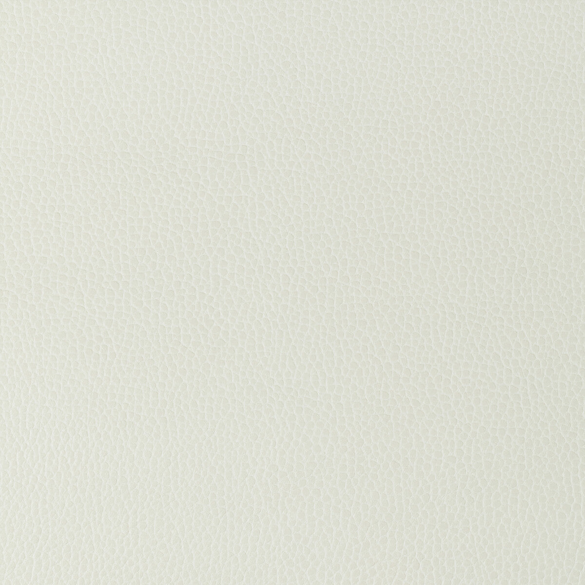 KRAVET DESIGN GILLIAN.101.0 KRAVET DESIGN GILLIAN-101 Fabric - Eade's Wallpaper