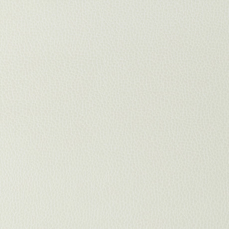 KRAVET DESIGN GILLIAN.101.0 KRAVET DESIGN GILLIAN-101 Fabric - Eade's Wallpaper