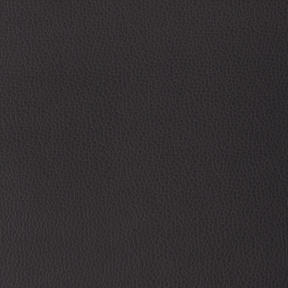 KRAVET DESIGN GILLIAN.1010.0 KRAVET DESIGN GILLIAN-1010 Fabric - Eade's Wallpaper