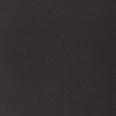 KRAVET DESIGN GILLIAN.1010.0 KRAVET DESIGN GILLIAN-1010 Fabric - Eade's Wallpaper