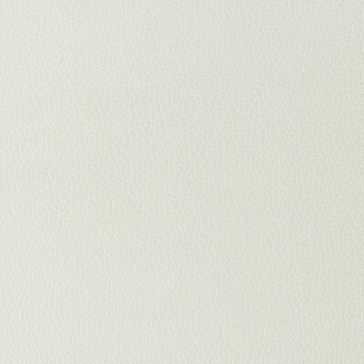 KRAVET DESIGN GILLIAN.101.0 KRAVET DESIGN GILLIAN-101 Fabric - Eade's Wallpaper