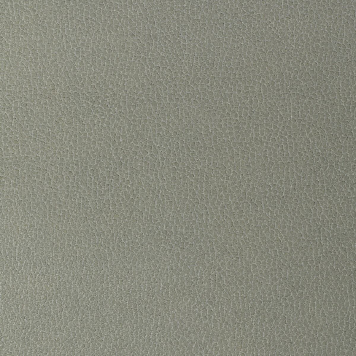 KRAVET DESIGN GILLIAN.11.0 KRAVET DESIGN GILLIAN-11 Fabric - Eade's Wallpaper