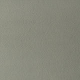 KRAVET DESIGN GILLIAN.11.0 KRAVET DESIGN GILLIAN-11 Fabric - Eade's Wallpaper