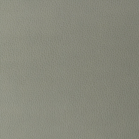 KRAVET DESIGN GILLIAN.11.0 KRAVET DESIGN GILLIAN-11 Fabric - Eade's Wallpaper