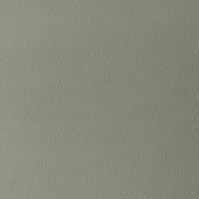 KRAVET DESIGN GILLIAN.11.0 KRAVET DESIGN GILLIAN-11 Fabric - Eade's Wallpaper