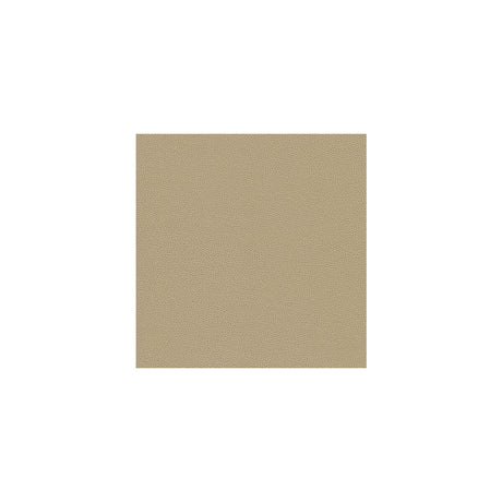 KRAVET DESIGN GILLIAN.116.0 KRAVET DESIGN GILLIAN-116 Fabric - Eade's Wallpaper