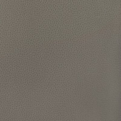 KRAVET DESIGN KRAVET DESIGN GILLIAN.121.0 in GILLIAN-121 Fab