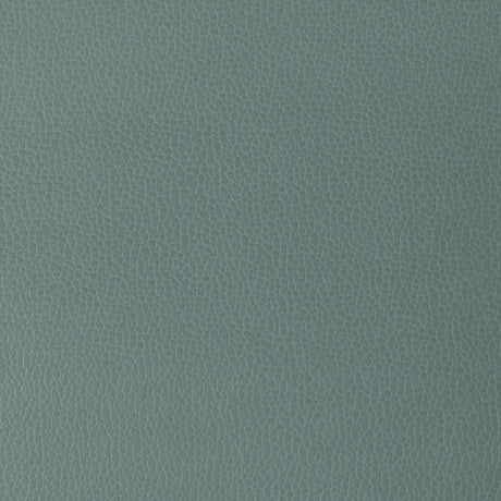 KRAVET DESIGN GILLIAN.15.0 KRAVET DESIGN GILLIAN-15 Fabric - Eade's Wallpaper