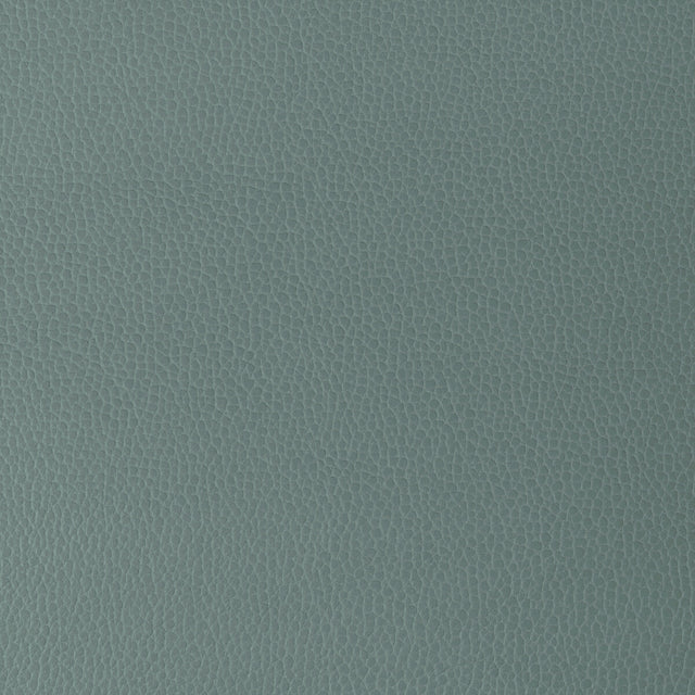 KRAVET DESIGN GILLIAN.15.0 KRAVET DESIGN GILLIAN-15 Fabric - Eade's Wallpaper