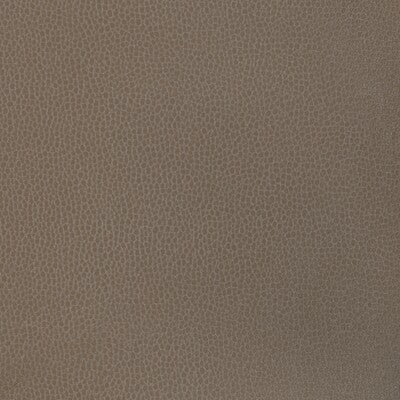 KRAVET DESIGN KRAVET DESIGN GILLIAN.1611.0 in GILLIAN-1611 F