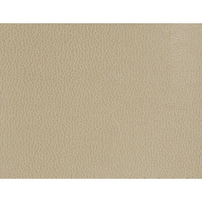 KRAVET DESIGN GILLIAN.1616.0 KRAVET DESIGN GILLIAN-1616 Fabric - Eade's Wallpaper