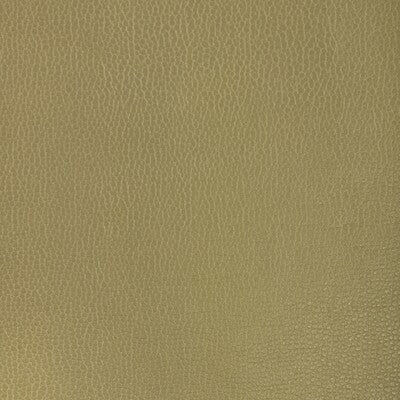 KRAVET DESIGN KRAVET DESIGN GILLIAN.23.0 in GILLIAN-23 Fabri
