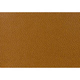 KRAVET DESIGN GILLIAN.24.0 KRAVET DESIGN GILLIAN-24 Fabric - Eade's Wallpaper