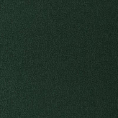 KRAVET DESIGN GILLIAN.30.0 KRAVET DESIGN GILLIAN-30 Fabric - Eade's Wallpaper