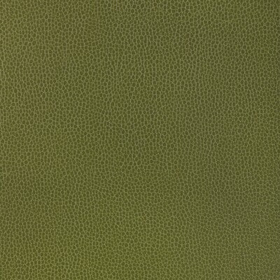 KRAVET DESIGN KRAVET DESIGN GILLIAN.33.0 in GILLIAN-33 Fabri