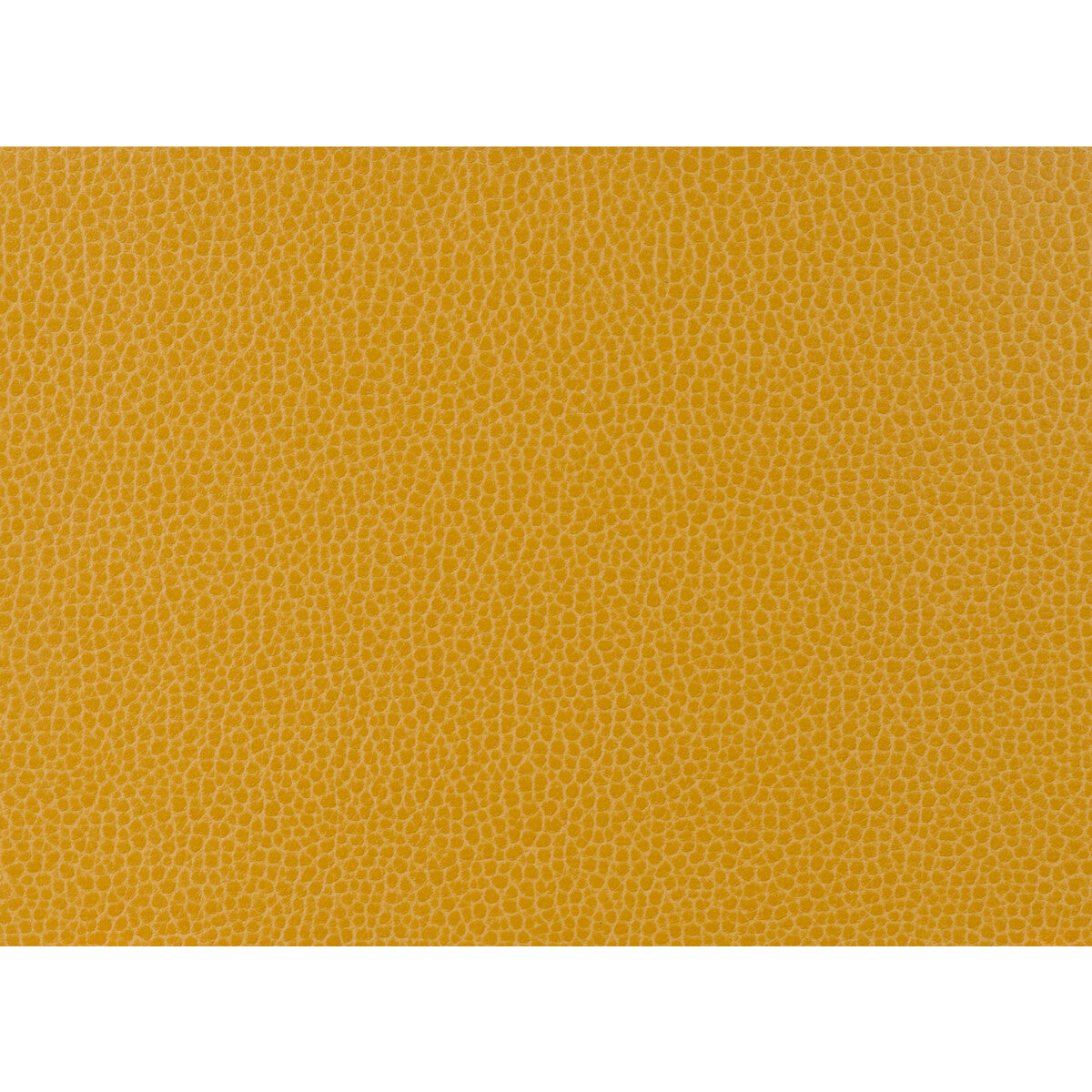 KRAVET DESIGN GILLIAN.414.0 KRAVET DESIGN GILLIAN-414 Fabric - Eade's Wallpaper