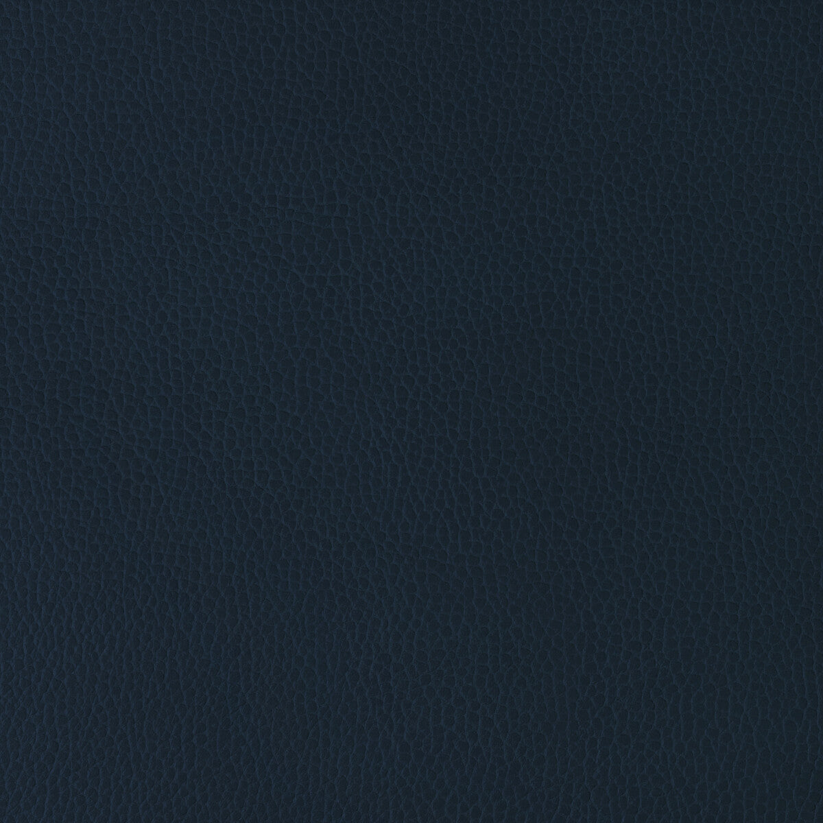 KRAVET DESIGN GILLIAN.5.0 KRAVET DESIGN GILLIAN-5 Fabric - Eade's Wallpaper