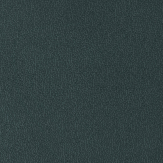 KRAVET DESIGN GILLIAN.52.0 KRAVET DESIGN GILLIAN-52 Fabric - Eade's Wallpaper