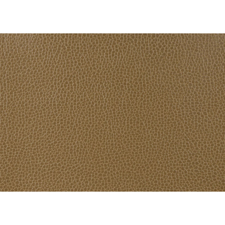 KRAVET DESIGN GILLIAN.6.0 KRAVET DESIGN GILLIAN-6 Fabric - Eade's Wallpaper