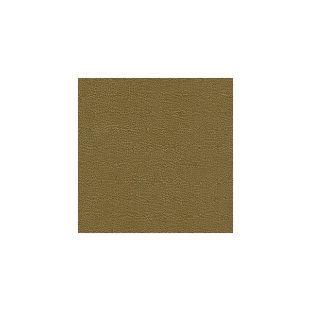 KRAVET DESIGN GILLIAN.606.0 KRAVET DESIGN GILLIAN-606 Fabric - Eade's Wallpaper