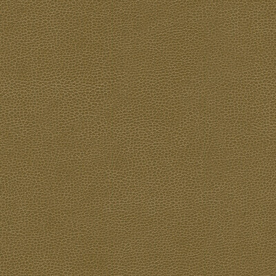 KRAVET DESIGN GILLIAN.606.0 KRAVET DESIGN GILLIAN-606 Fabric - Eade's Wallpaper