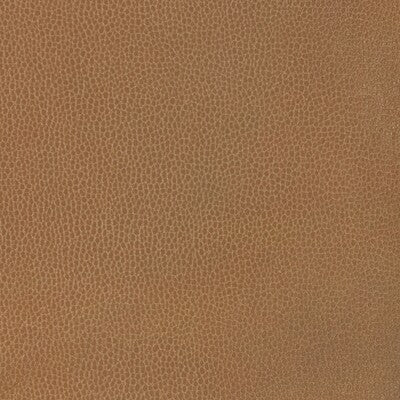 KRAVET DESIGN KRAVET DESIGN GILLIAN.6116.0 in GILLIAN-6116 F