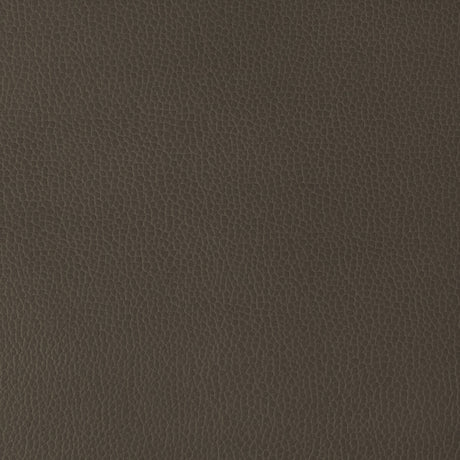 KRAVET DESIGN GILLIAN.6666.0 KRAVET DESIGN GILLIAN-6666 Fabric - Eade's Wallpaper