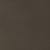 KRAVET DESIGN GILLIAN.6666.0 KRAVET DESIGN GILLIAN-6666 Fabric - Eade's Wallpaper