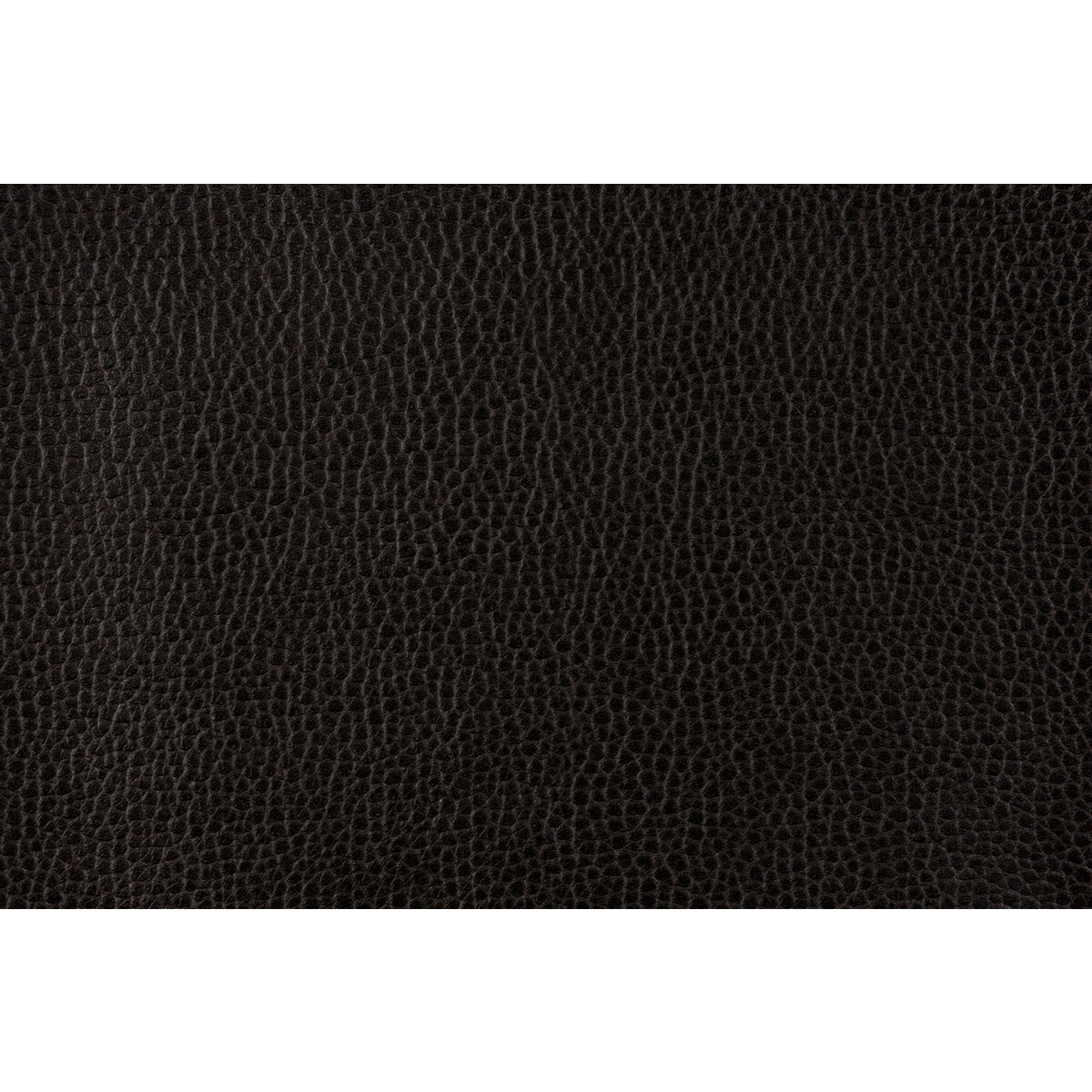 KRAVET DESIGN GILLIAN.8.0 KRAVET DESIGN GILLIAN-8 Fabric - Eade's Wallpaper