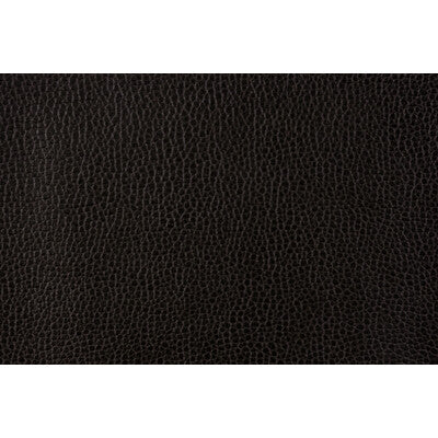 KRAVET DESIGN GILLIAN.8.0 KRAVET DESIGN GILLIAN-8 Fabric - Eade's Wallpaper