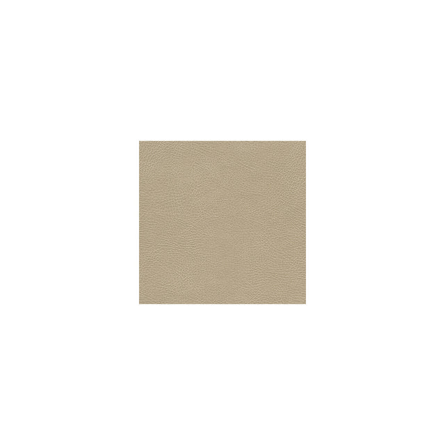 KRAVET DESIGN GLENDALE.1116.0 KRAVET DESIGN GLENDALE-1116 Fabric - Eade's Wallpaper