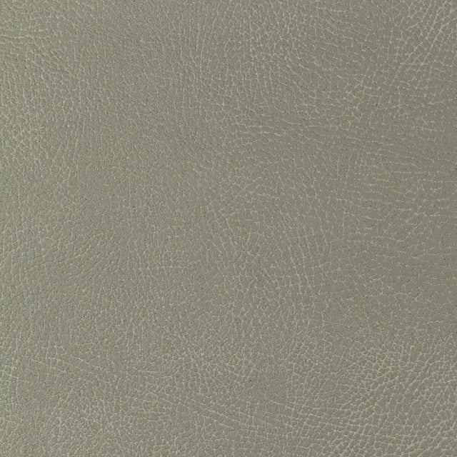 KRAVET DESIGN GLENDALE.1121.0 KRAVET DESIGN GLENDALE-1121 Fabric - Eade's Wallpaper