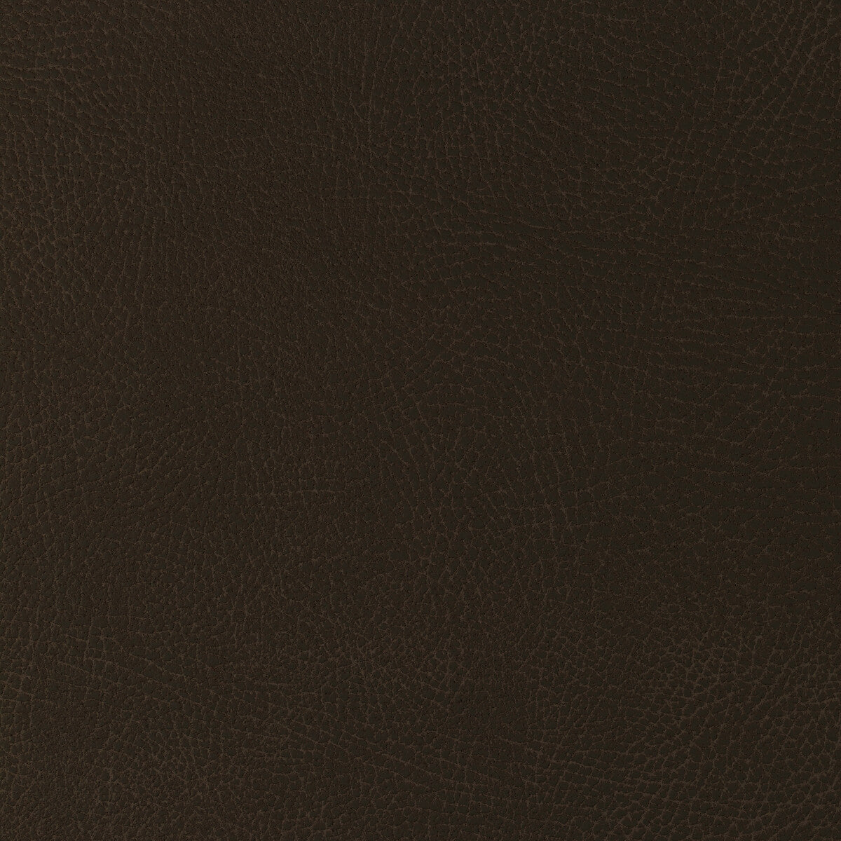 KRAVET DESIGN GLENDALE.6166.0 KRAVET DESIGN GLENDALE-6166 Fabric - Eade's Wallpaper