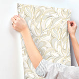 Eade’s Achate Beige & Grey