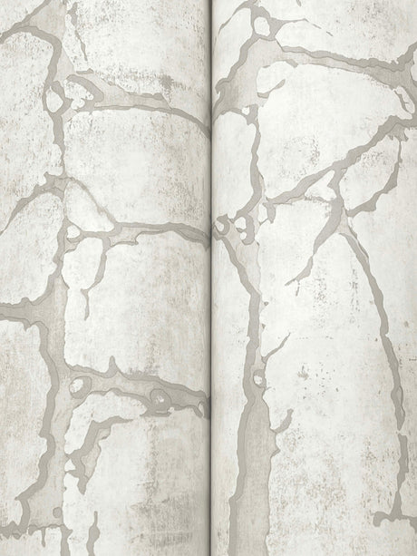 Eade’s Mojave Grey
