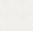 Eade’s Dew Drop White