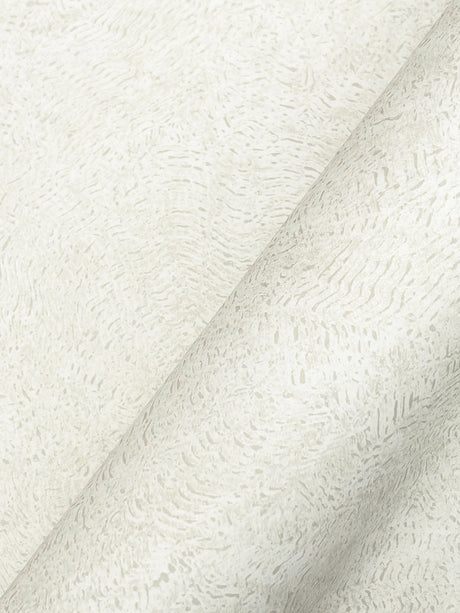 Eade’s Impression White