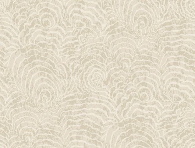 Eade’s Ocean Jasper Beige